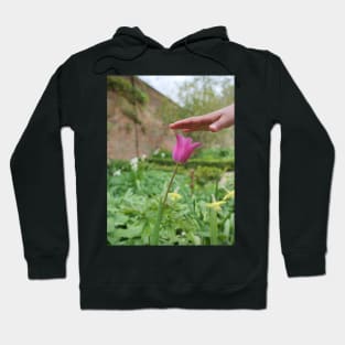 Red Tulip flower and kids hand Hoodie